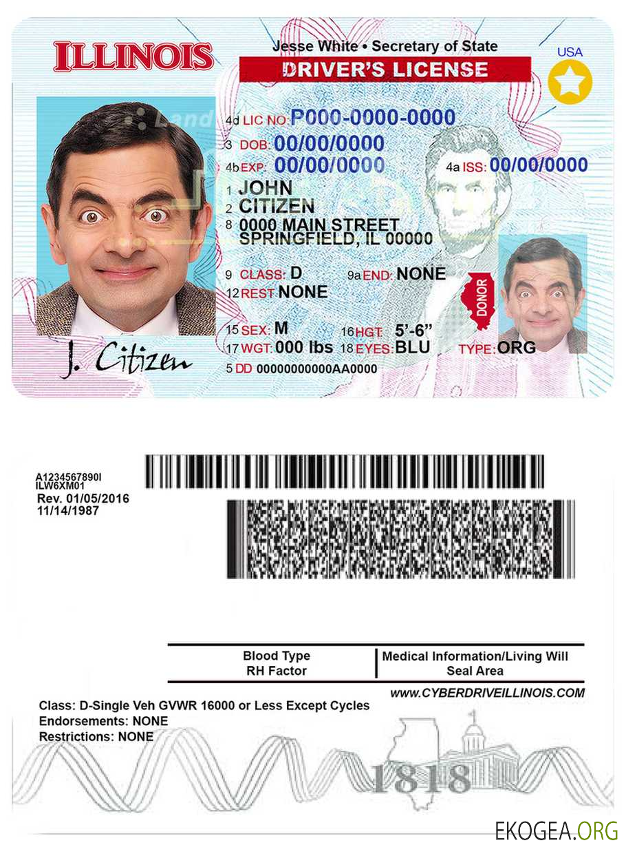 Usa Illinois template